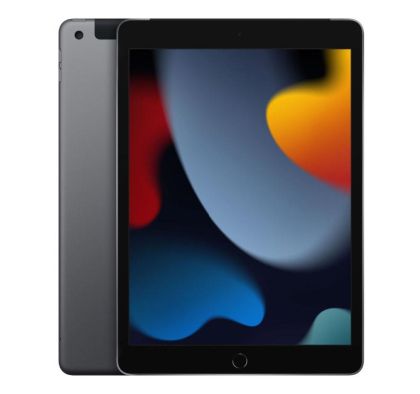 Apple iPad 9 10.2" Wi-Fi 256GB Grey