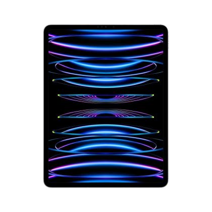IPAD PRO(6th) 12.9 CELLULAR 256GB SILVER