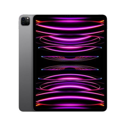 IPAD PRO(6th) 12.9 WiFi 1TB GREY