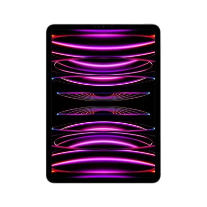 IPAD PRO(4th) 11 CELLULAR  256GB GREY