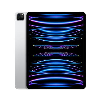 IPAD PRO(6th) 12.9 CELLULAR 2TB SILVER
