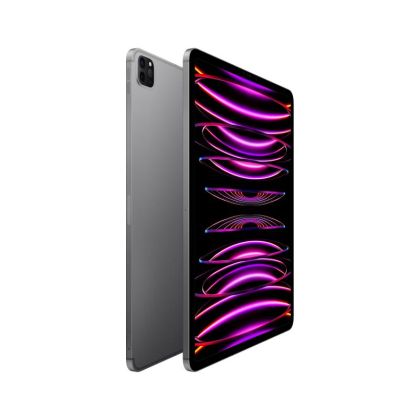 IPAD PRO(6th) 12.9 CELLULAR 1TB GREY