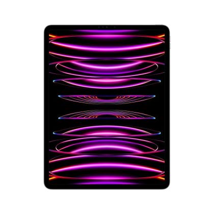 IPAD PRO(6th) 12.9 WiFi 512GB GREY