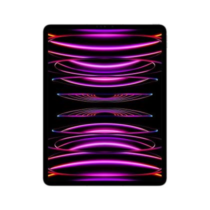 IPAD PRO(6th) 12.9 CELLULAR 128GB GREY
