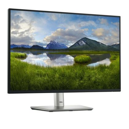 Monitor LED Dell P2425, 24" WUXGA (1920x1200), IPS, 300nits, 5ms, 100Hz, culoare black-silver