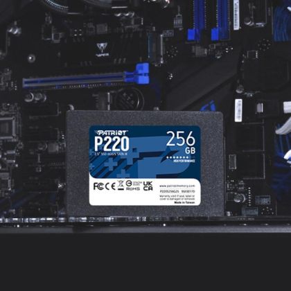 PT SSD 256GB SATA P220S256G25