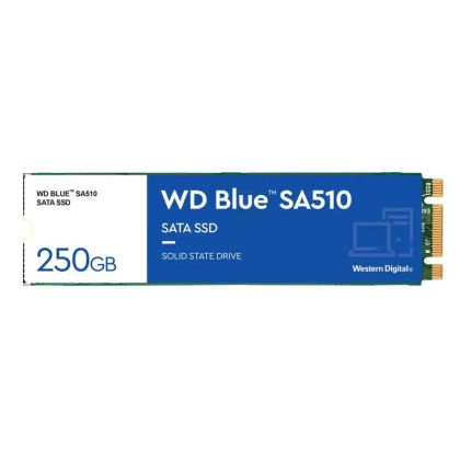 WD SSD 250GB BLUE M.2 SATA3 WDS250G3B0B