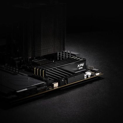 ADATA XPG L DDR5 32GB (2x16) 6400Mhz KIT