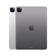 IPAD PRO(4th) 11 CELLULAR  256GB GREY