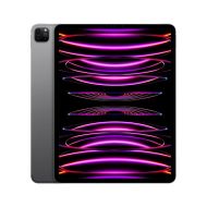 IPAD PRO(6th) 12.9 CELLULAR 1TB GREY US