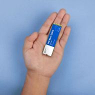SSD WD Blue SA510 1TB SATA-III M.2 2280