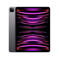 IPAD PRO(6th) 12.9 CELLULAR 256G US GREY