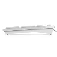 DL TASTATURA KB216 CU FIR WHITE