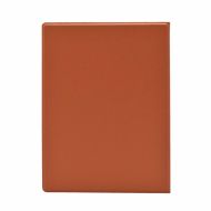 Husa magnetica Onyx Boox Nova Air