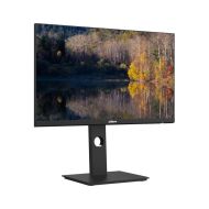 Monitor Dahua 24" DHI-LM24-P301A