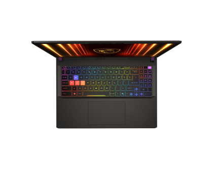 Vector 16 QHD+ U9 275HX 32 1TB 5080 W11H