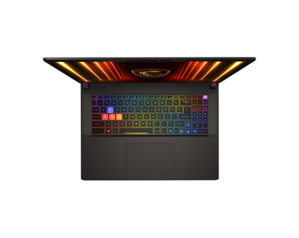 Vector 17 QHD+AI U9 275HX 64 2T 5090 DOS