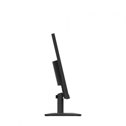 L24-4e 23.8" Flat FHD IPS 100Hz