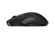 HP 255 Dual Wireless Mouse