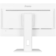 IIYAMA Monitor LED XUB2497HSN-W2 23.8" IPS 1920 x 1080 @100Hz 16:9 300 cd/m² 1300:1 1ms HDMI DP USB-C 65W RJ45 height, swivel, tilt, pivot (rotation both sides)
