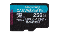 256GB microSDXC Canvas Go Plus Gen4 200R