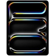 iPAD PRO 13 M5 WiFi&Cell 256GB SG SILVER